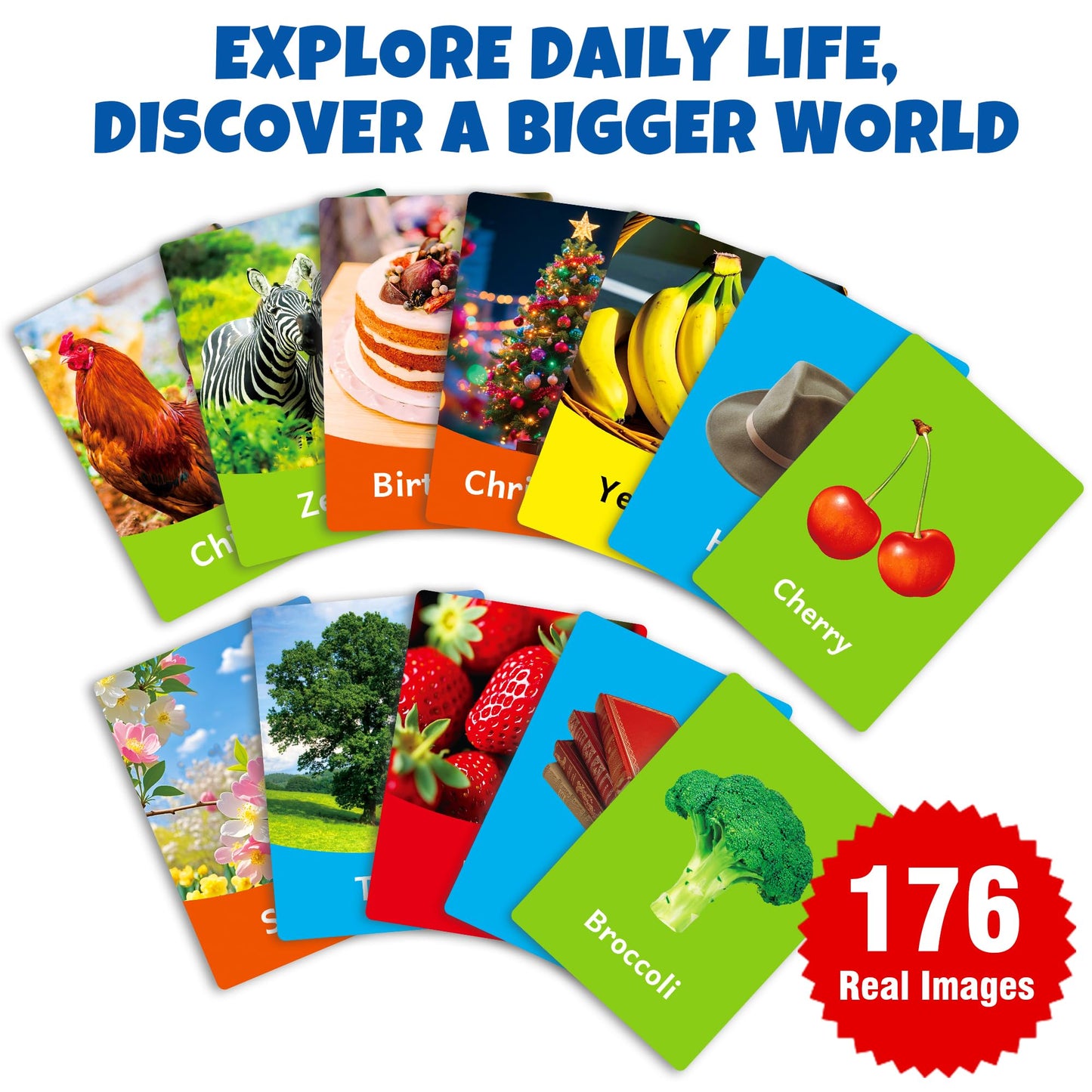 rokt&razo 96 Jumbo Toddler Flash Cards, 10 Topics, 176 Real Images | Alphabet, Numbers, Colors, Shapes & Daily Objects, Fruits - Learning Activities for Ages 1-3, Preschool Educational Tool