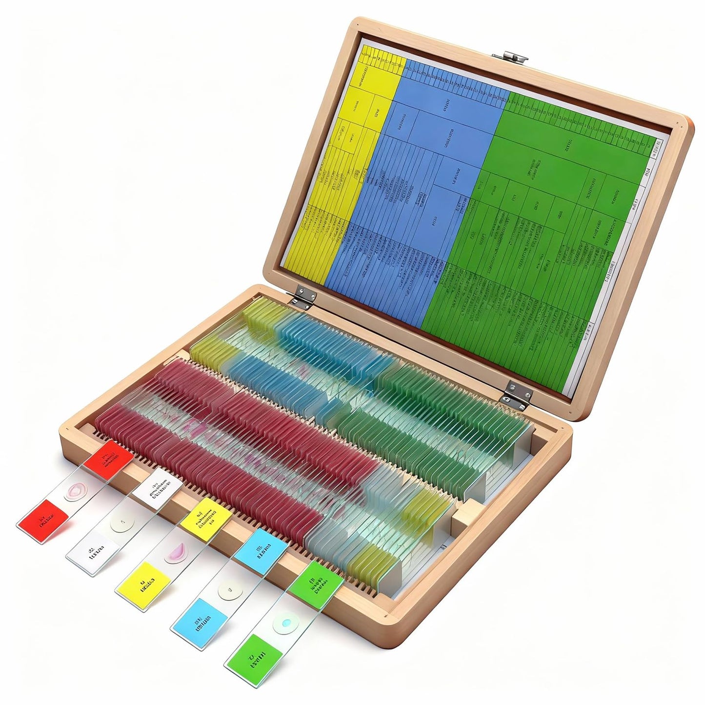 Microscope Slides with Specimens, 120 Lab-Grade Prepared Microscope Slides, Animal/Plant/Microbe/Tissue Samples, STEM Biology Kit for Homeschool, Classroom Labs & Science Education