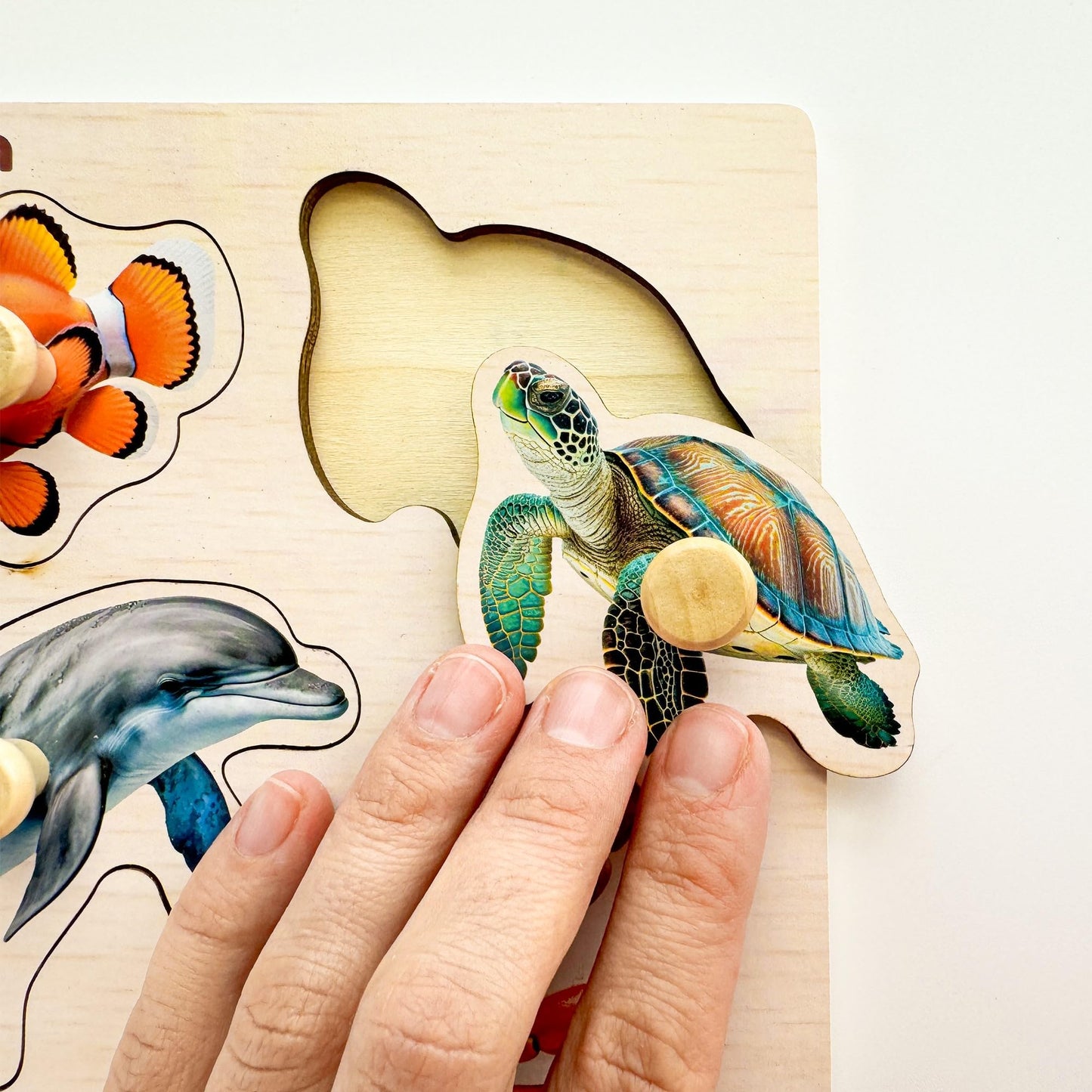 QUOKKA Wooden Puzzles for Toddlers 1-3 – 6 Pegged Puzzles for Kids Ages 2-4 – Animal and Fruits Learning Toy for Kids – Gift Realistic Educational Game for Boy and Girl