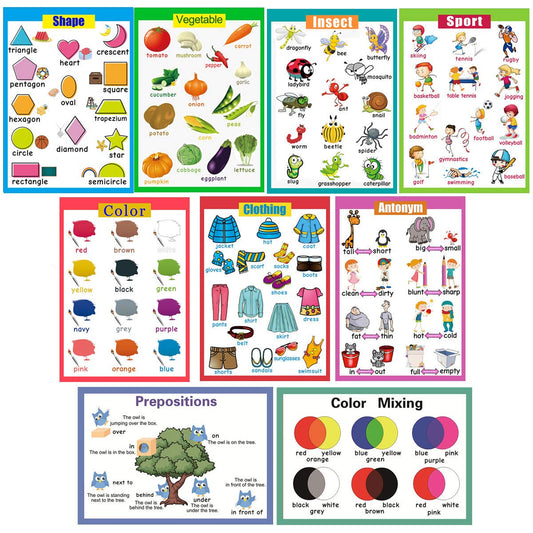 9 Laminated Educational Posters|Educational Wall Charts|School Classroom Posters|Class Decorations for Kindergarten-Insect,Shape, Vegetable,Clothing,Antonym,Color,Color Mixing,Sport,Prepositions