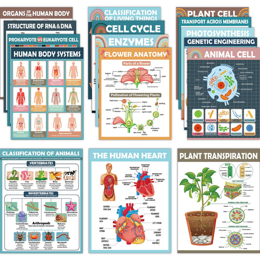 16Pcs Boho Science Posters for Classroom Middle School Supplies Biology Poster Classroom Decoration Life Science Posters Charts for Teachers High School Education Bulletin Wall Decor