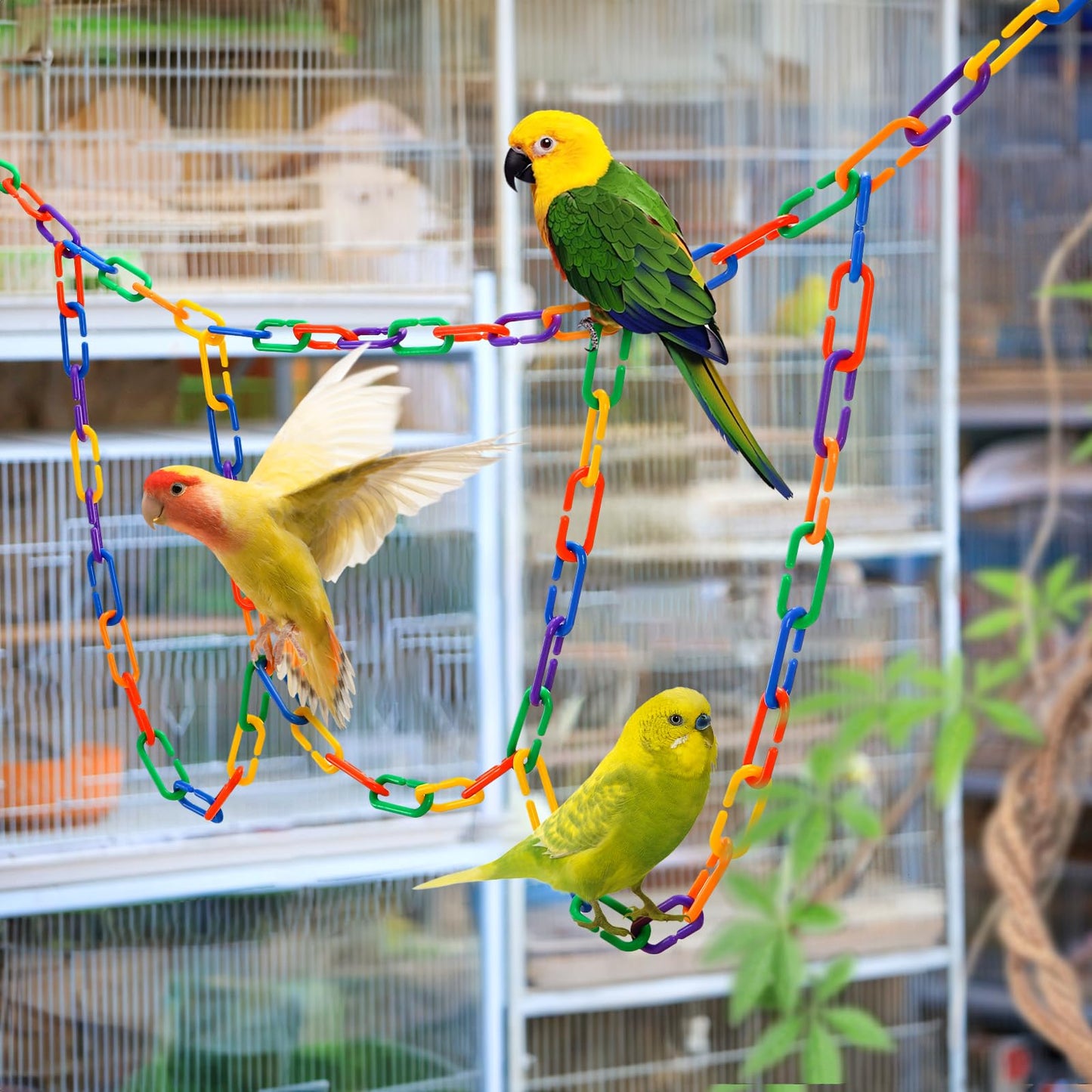Suwimut 1000 Pieces Plastic C-Clip Hooks Chain Links, Interchangeable Rainbow C-Links Kids Learning Toys for Classroom Preschool, Sugar Glider Swing Climbing Cage Toys for Small Pet Rat Parrot Bird