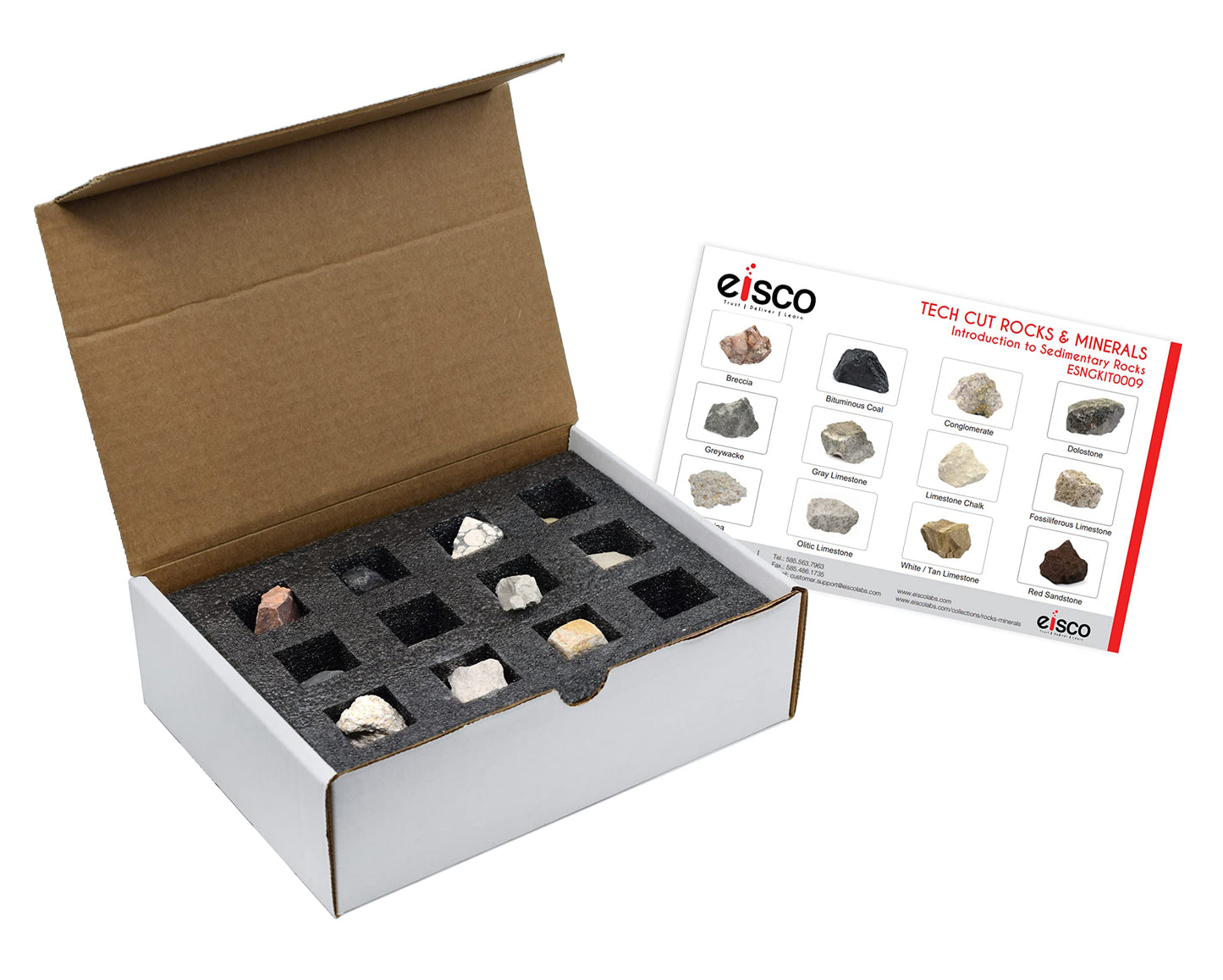 EISCO 12 Piece Introduction to Sedimentary Rocks Kit - Includes 1" Specimens - Great for Geology Classrooms & Basic Field Testing Labs - Tech Cut Rocks