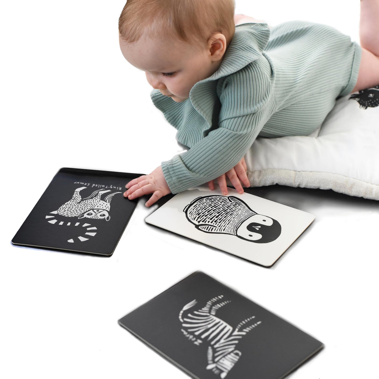 Wee Gallery Art Cards for Baby, Durable High Contrast Black and White Animal Flashcards for Newborns, Brain Development,Tummy Time Essentials for Infant and Toddler - Black and White Animals