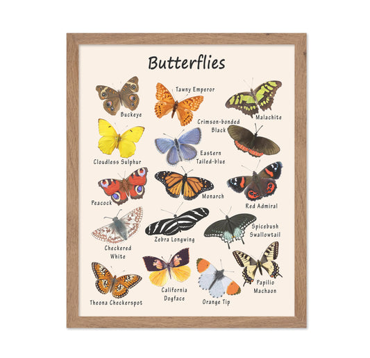 Poster Master Butterfly Print - Animal Poster - Learning Materials Art - Educational Wall Design - Gift for Students & Teacher - Decor for Classroom, Library or Nursery - 11x14 Beige Framed