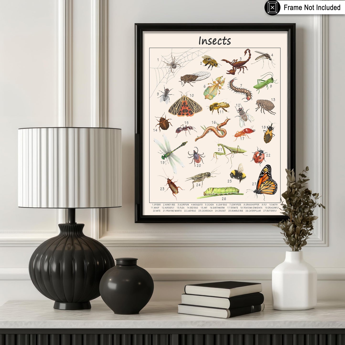 Poster Master Insects Poster - Educational Print - Learning Materials Art - Animal Art - Gift for Kids, Students & Teacher - Great Decor for Playroom, Classroom or Library - 8x10 UNFRAMED Wall Art
