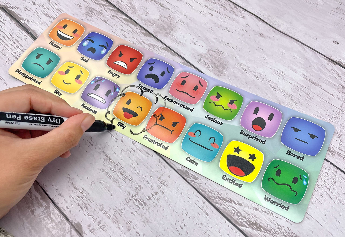 Teacher Created Resources Social-Emotional Mood Meters (TCR6052)