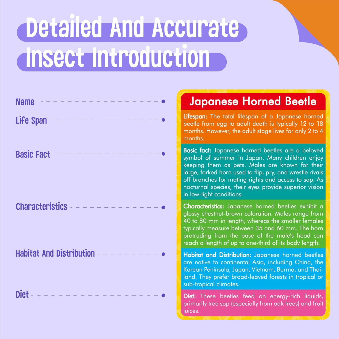 12 PCS Plastic Insect Figurines with 12 Introduction Flashcards, Small Creature Learning Recognition Cards Realistic Bug Models Educational Learning Toy Set for Kids, Classroom