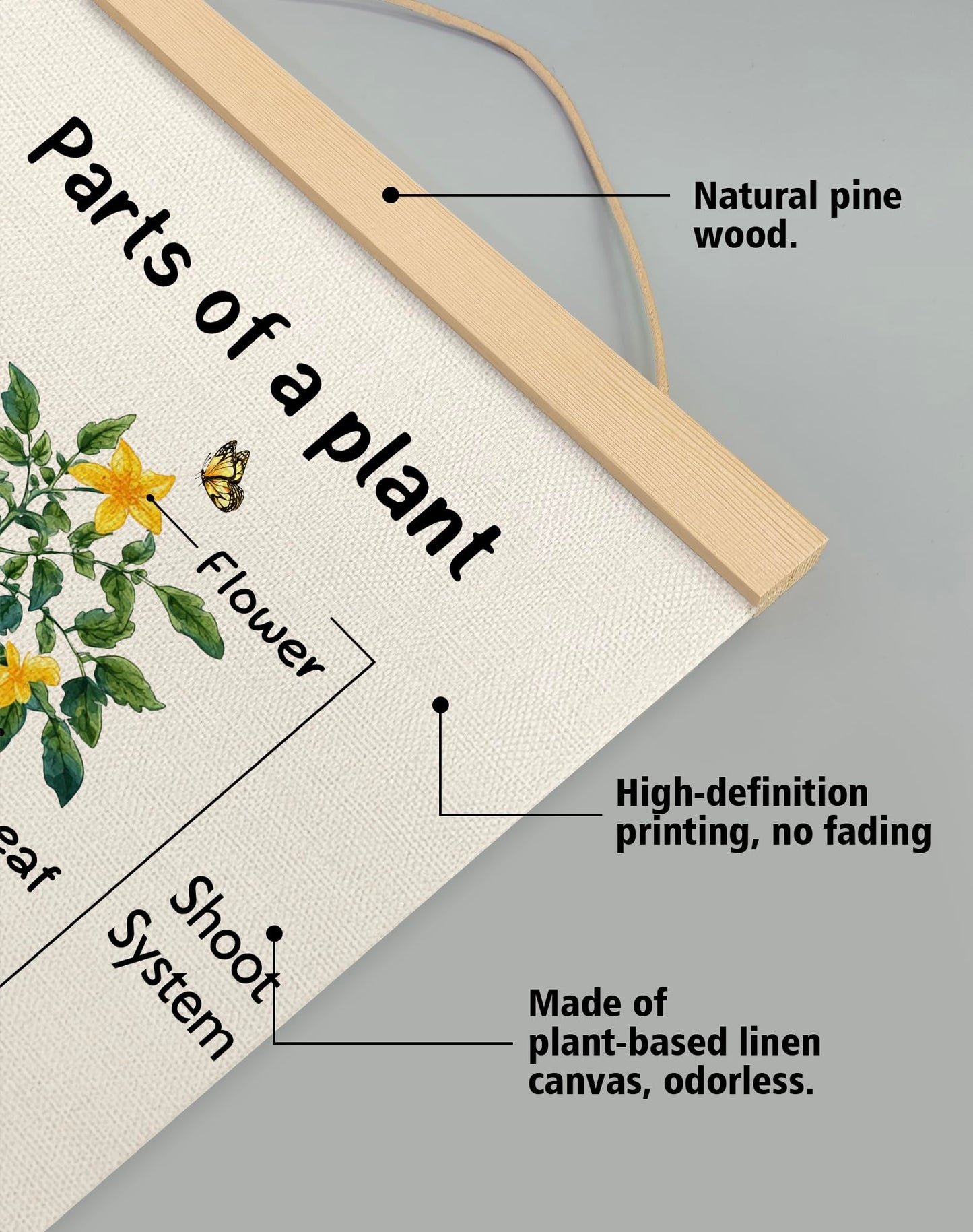 Parts of a Plant Educational Poster,14x18.5 Inch Linen Canvas Wall Botanical Chart Hanging Poster, Science Learning Classroom, Nursery, Homeschool,Kids Room Decoration (Green-Parts of a plant)