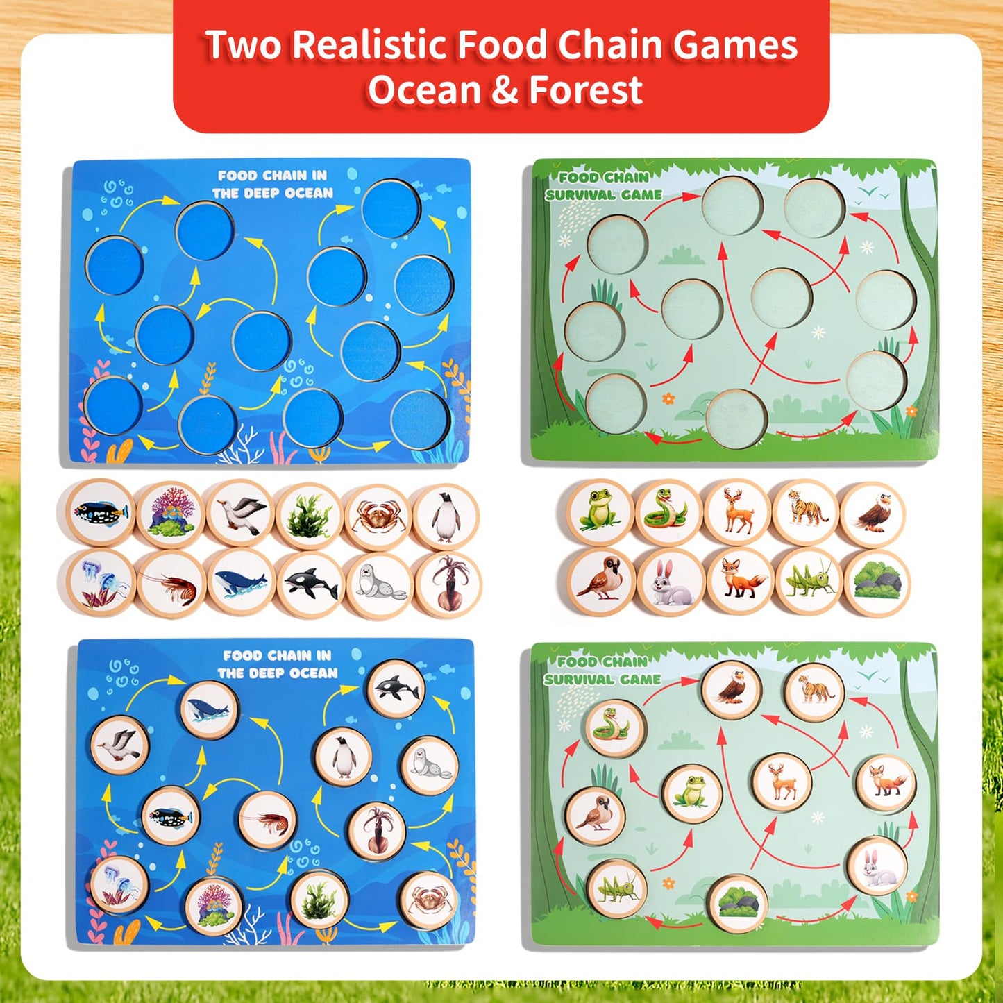 INIFEIDALA Montessori Wooden Preschool Learning Educational Toys Set for Toddlers 3-6,Life Cycle Puzzle, Shape Sorting Matching Game & Ecosystem Science Center – STEM Sensory Gifts for Boys & Girls