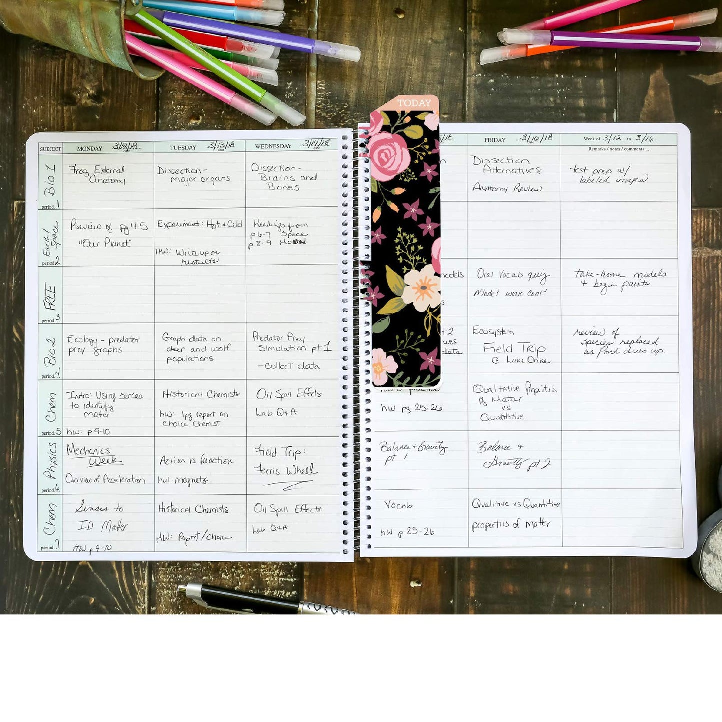 Elan Publishing Company HARDCOVER Combination Plan and Record Book: One efficient 8.5" x 11" book for lesson plans and grades combines W101 and R1010 with Bonus Clip-in Bookmark (Black Floral)