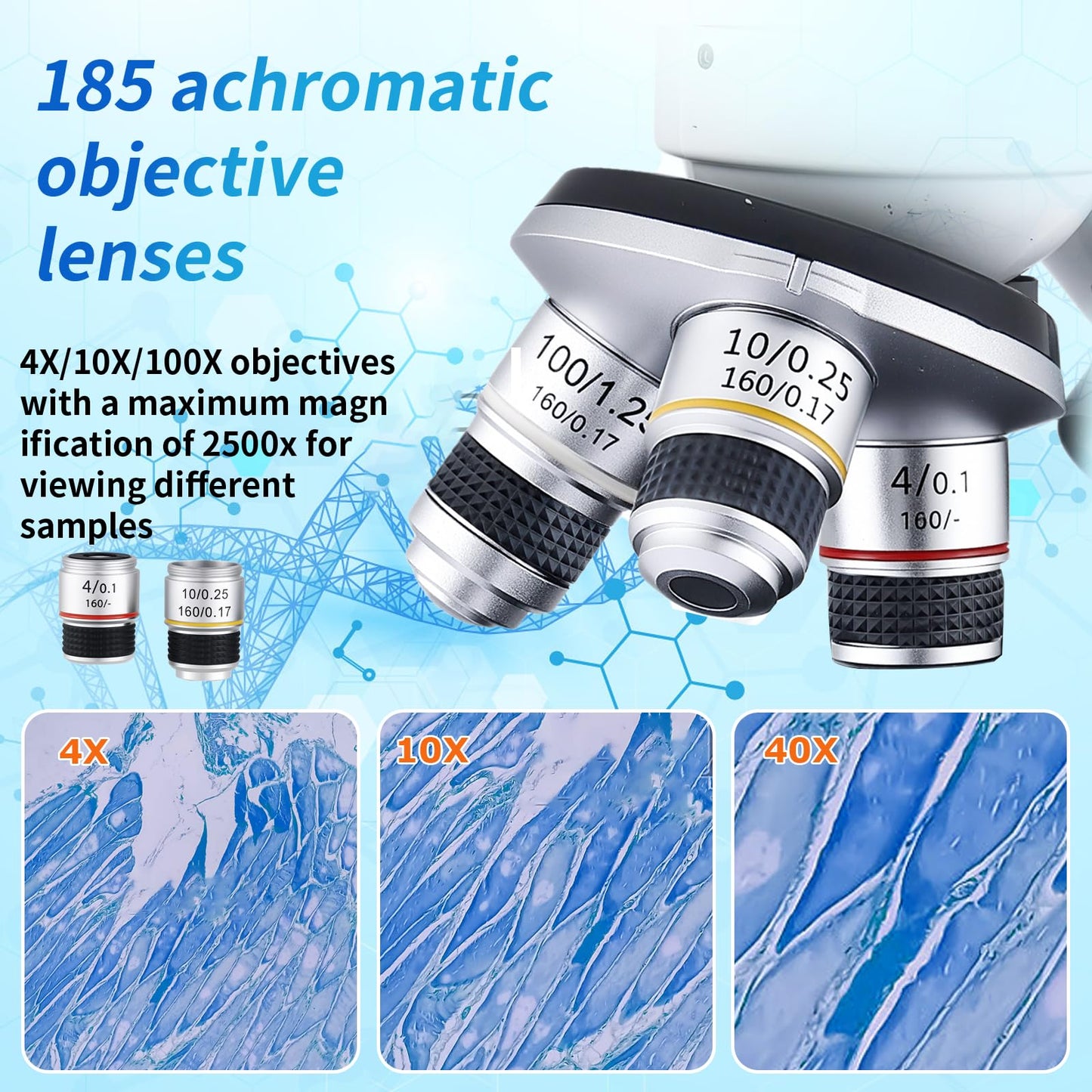 Binocular Microscope Magnification 40X-2500X, WF10x/25x Eyepieces, Dual LED Illumination, Suitable for Schools Home Labs Educational Adult Microscope
