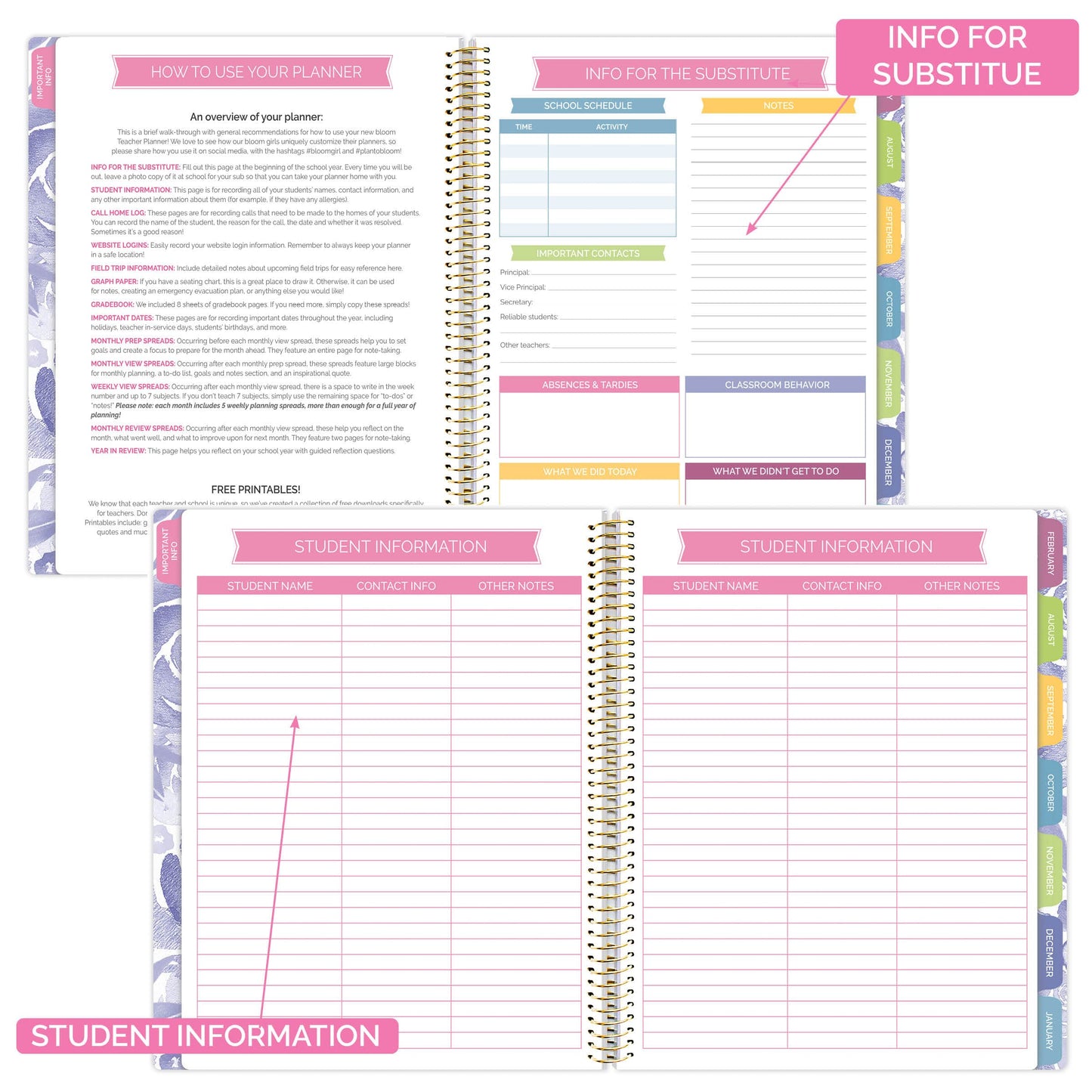 bloom daily planners Undated Academic Year Teacher Planner & Calendar - 7 Period Lesson Plan Organizer Book with Frosted Cover (9" x 11") (Watercolor Floral)