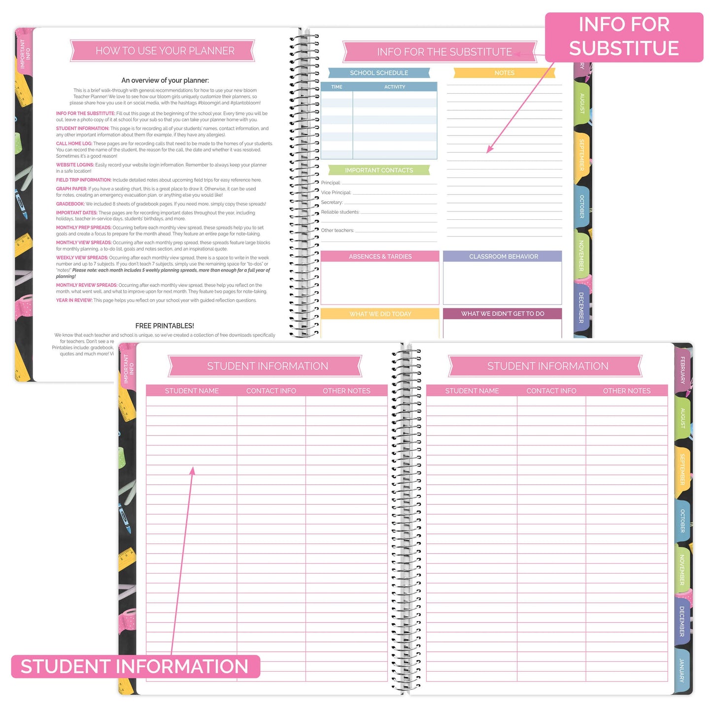 bloom daily planners Undated Academic Year Teacher Planner & Calendar - 7 Period Lesson Plan Organizer Book with Frosted Protective Cover (9" x 11") - Chalkboard