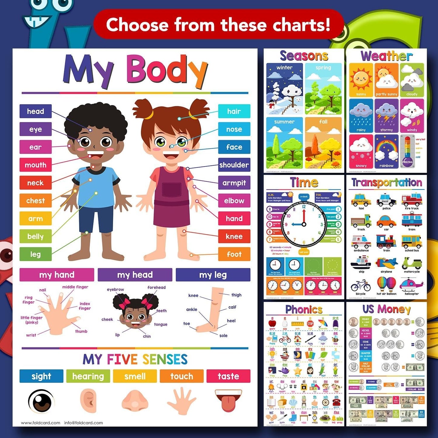 Months of the Year Educational Charts for Preschool to Gradeschool – Bright Colorful Visual/Learning Aid Poster for Classroom or Home | Printed on Glossy Durable Cardstock | 11" x 17" | 5 per Pack