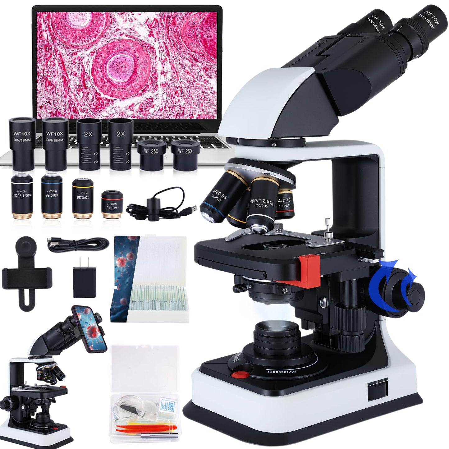 40X-2500X Binocular Microscope, WF10x and WF25x Eyepieces, LED Illumination, with Specimen Handpiece Holder, for Beginners, Microscope for Adults