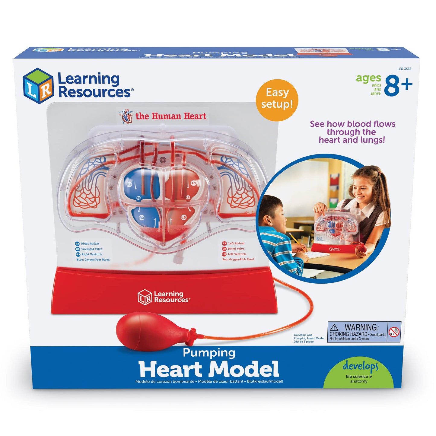 Learning Resources Pumping Heart Model - Science Classroom Must Haves, STEM Student Essentials, Practice Anatomy, Cardiology Artery and Veins Study Tools, Back to School Supplies for Teachers