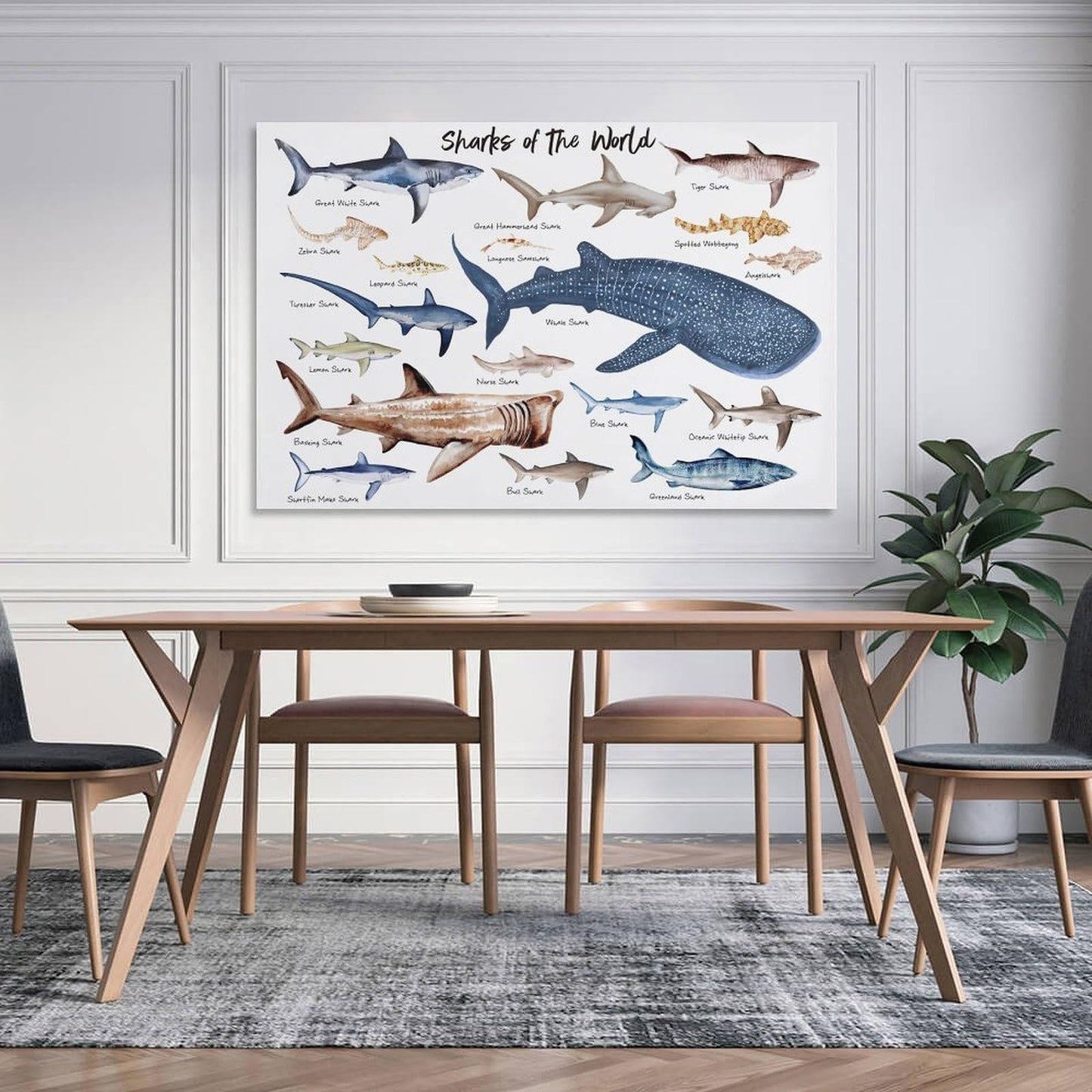 CZOURPVU Types of Shark Poster Shark Educational Chart Poster16x24inch(40x60cm)