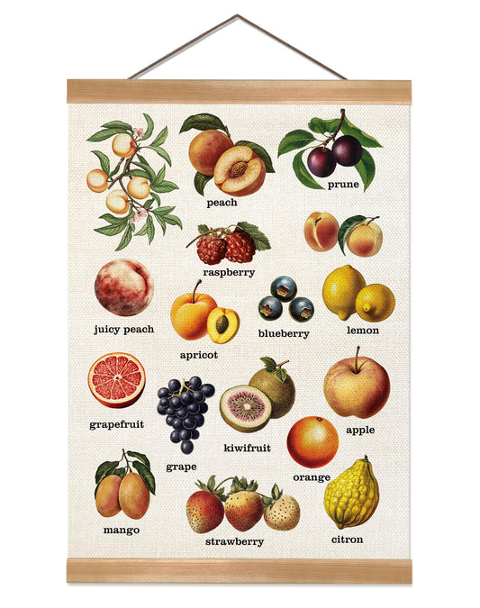 ZTGDA Vintage Fruit Wall Art Poster,Educational Hanging Canvas with Botanical Fruit Illustrations and Labels, Linen Canvas Print for Kitchen, Dining Room, or Classroom Decor 12x16In (Fruits)