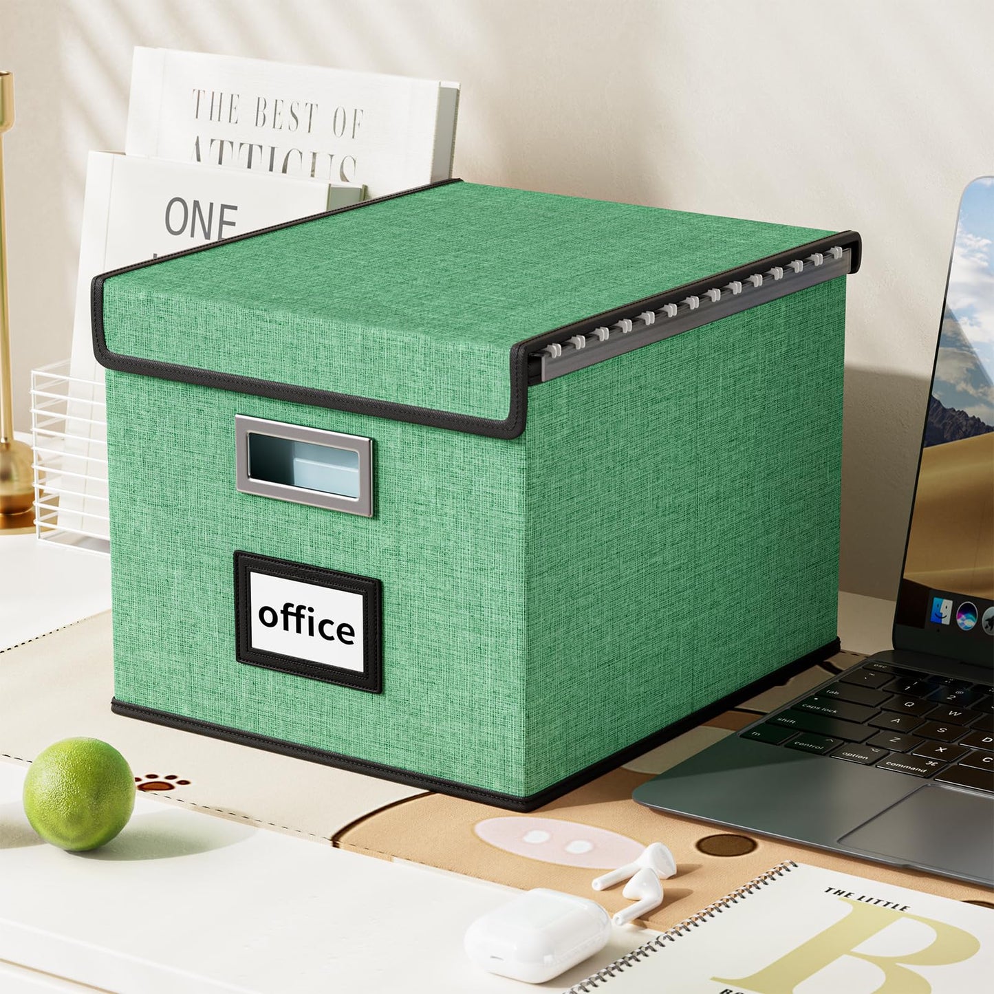Huolewa File Organizer Box with Lid, Collapsible File Folder Organizer for Office Document Storage, Filing Box with Plastic Slide for Letter Size Hanging File Folders(1 Pack, Light Green)