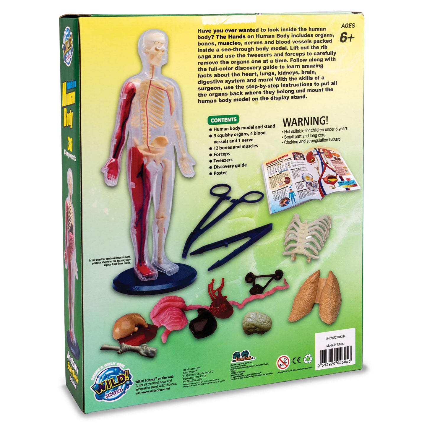Human Body Anatomy Model Kit – 31-Piece Interactive STEM Set with 9 Squishy Organs, Bones, Muscles & Blood Vessels, Forceps & Discovery Guide – Educational Science Tool for Kids 6+