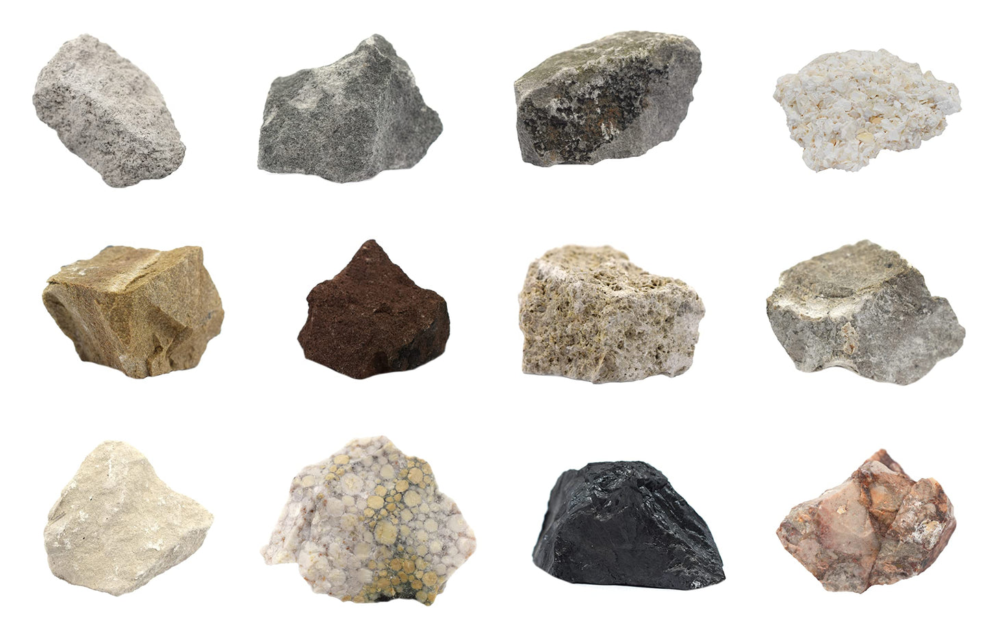 EISCO 12 Piece Introduction to Sedimentary Rocks Kit - Includes 1" Specimens - Great for Geology Classrooms & Basic Field Testing Labs - Tech Cut Rocks