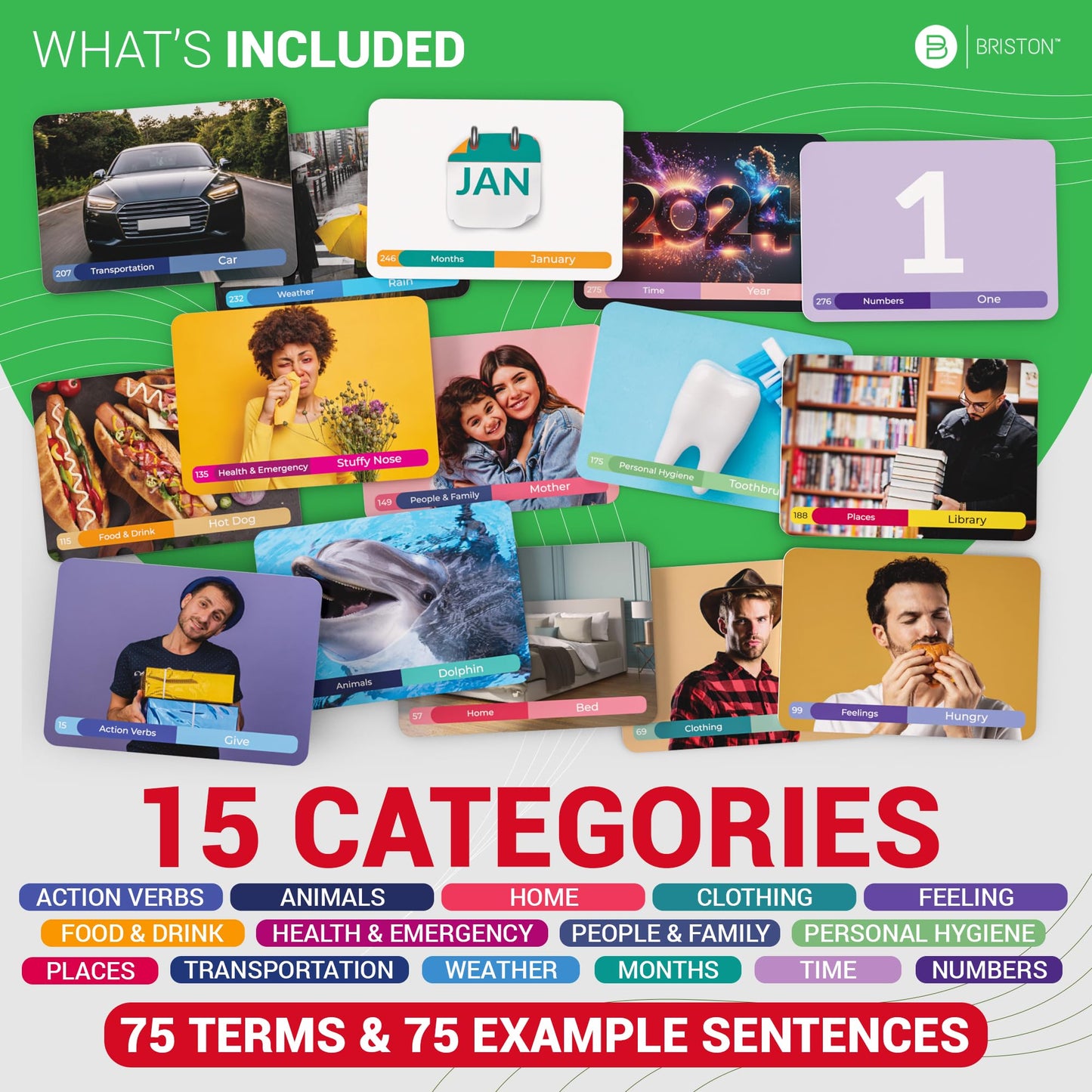 Italian Vocabulary Flash Cards – 300 Words with Pictures & Pronunciation – Educational Language Learning Tool for Students & Adults – Briston Italian Edition