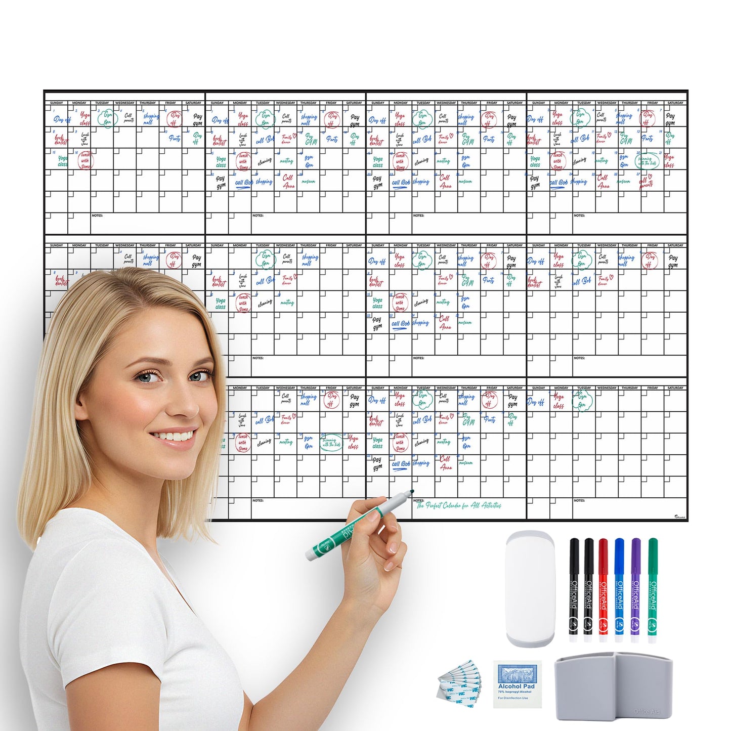 Yearly Large Dry Erase Calendar for Wall 24x36, for Year Family 12 Month, Undated Big Erasable Office, Rolled Whiteboard White Board, Classroom Annual Calendar Planner Dry Erase 36x24 Wall Reusable