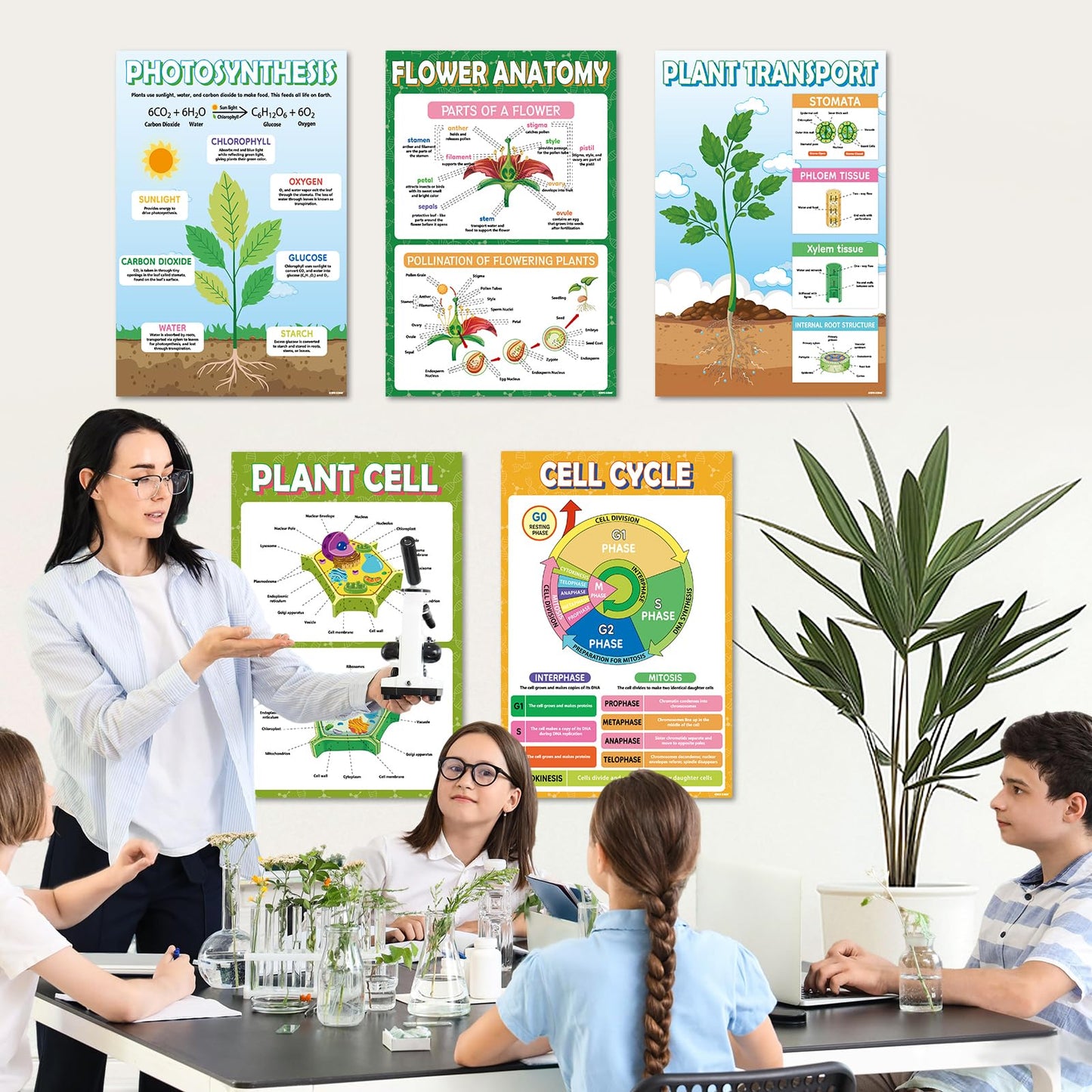 KIDS KING 18 Biology Posters for Classroom, 11x17 Inch Laminated Educational Life Science Posters for Middle & High School Decor - School Hallway, Bulletin Boards, Home Study Room