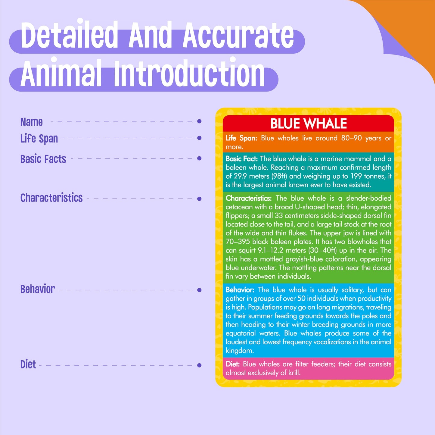 12 PCS Plastic Marine Animal Figurines with 12 Introduction Flashcards, Ocean Animals Learning Recognition Cards Realistic Undersea Animal Figures Educational Learning Toy Set for Kids, Classroom