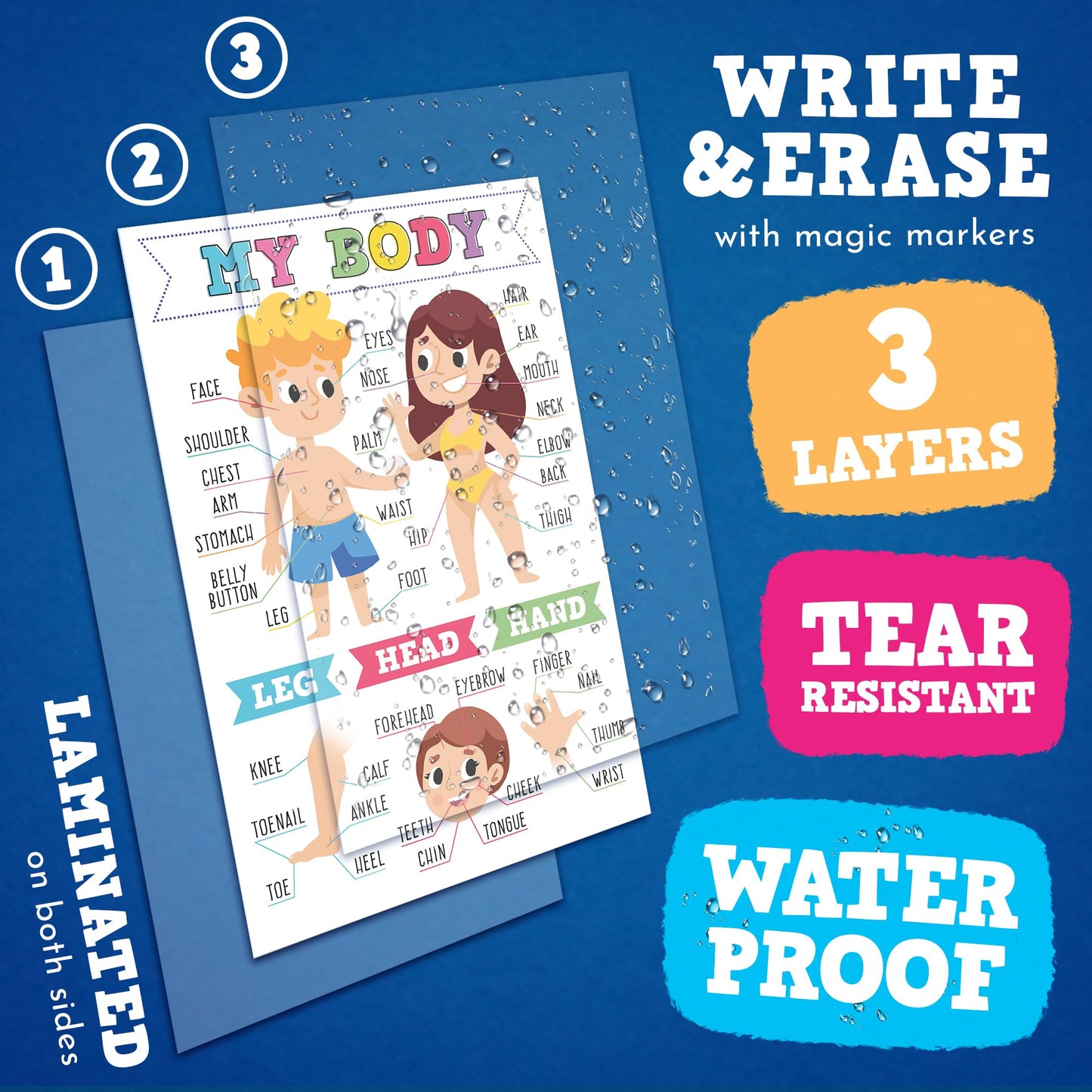 16 Laminated Educational Writing Posters for Kids (English & Spanish) - Double-Sided Learning Charts, 32 Total Designs, Classroom & Homeschool Supplies