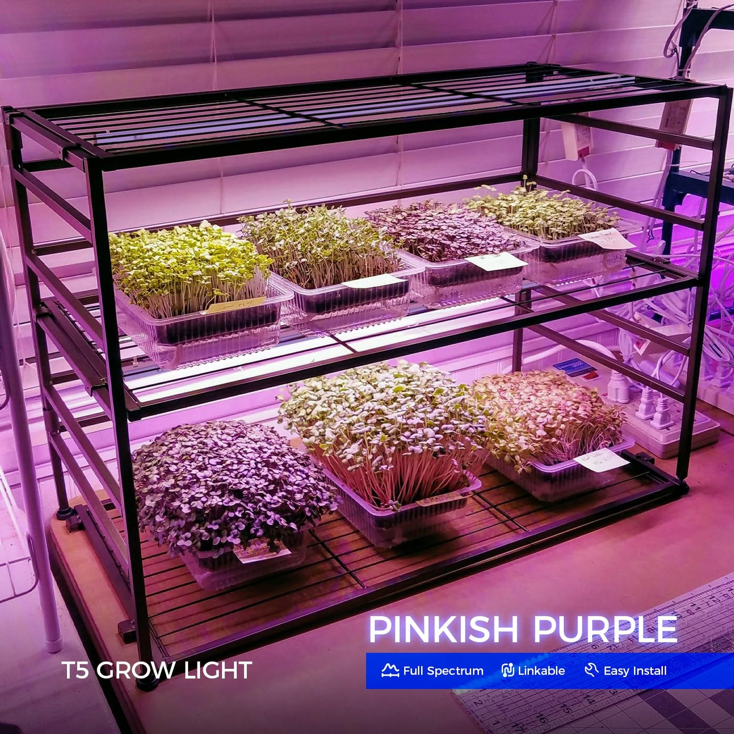 Barrina LED Grow Light Strip, Full Spectrum, 4ft 160W, 8-Pack,well-designed Aluminum, Pink