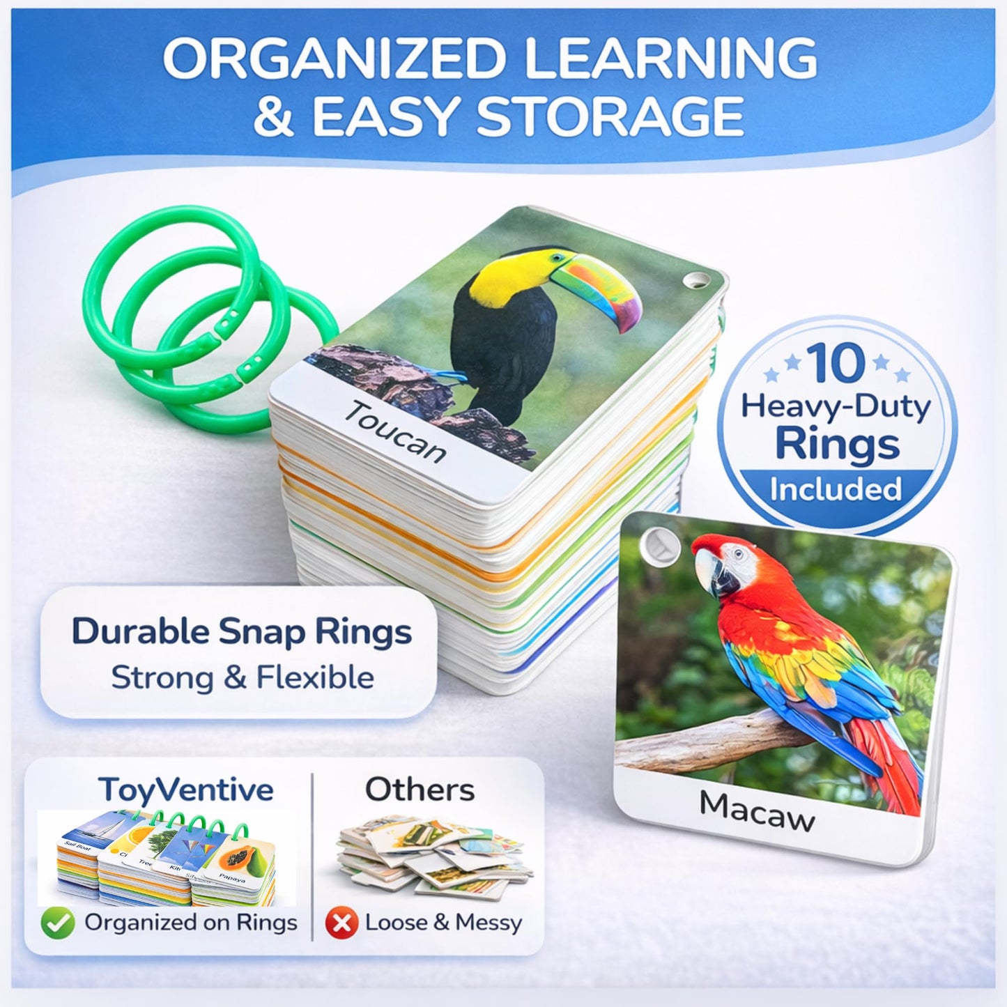 250 Thick & Sturdy Learning Flashcards for Toddlers 1-3 with Rings - Alphabet Flash Cards & Sight Words for Toddlers 2-4 yrs Included - Toddler Flash Cards Ages 2-3