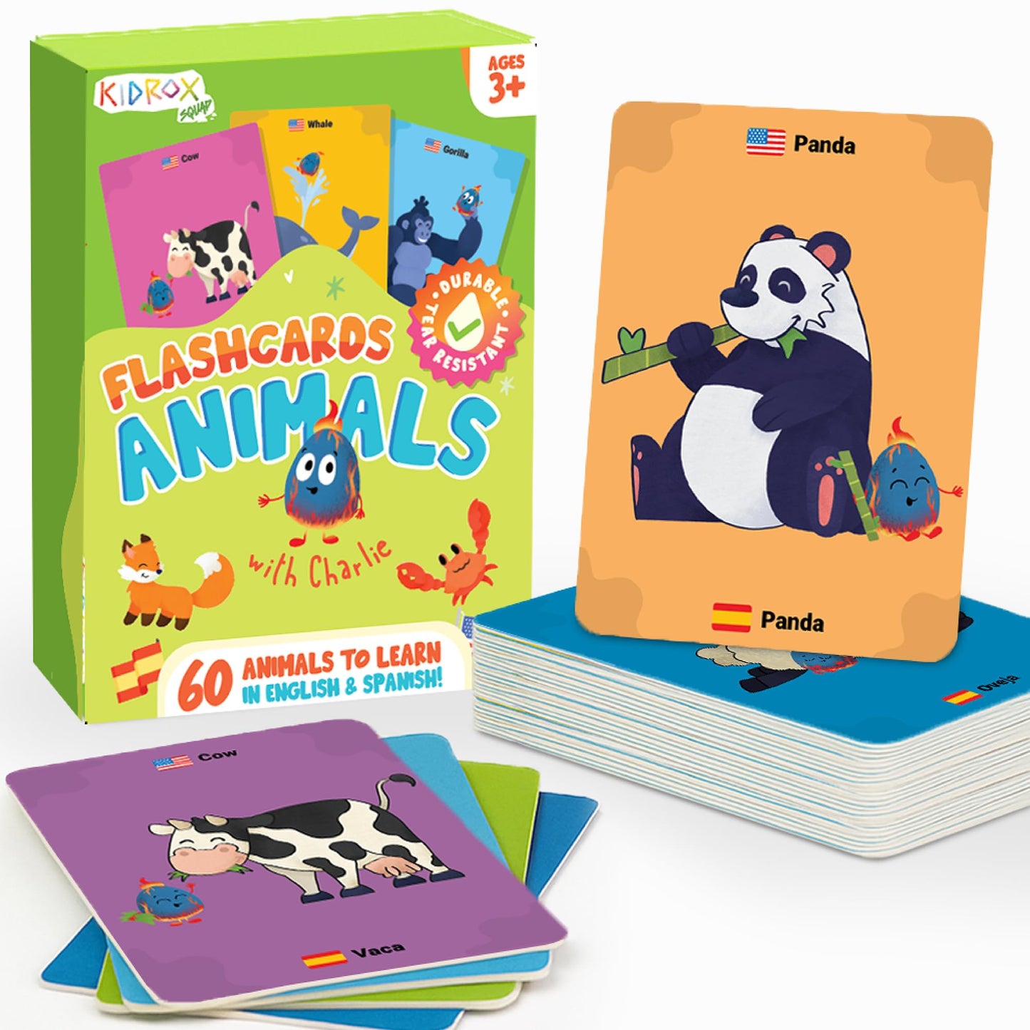 Kidrox Animals Flash Cards, English Learning Cards with Spanish Translations Included, Indestructible Double-Sided, 30 Cards