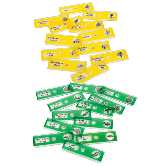 Prepared Microscope Slides for Kids – 24 Plastic Plant & Vegetable Specimens with Labels & Images – Safe, Durable Biology Science Kit for Students Ages 8+