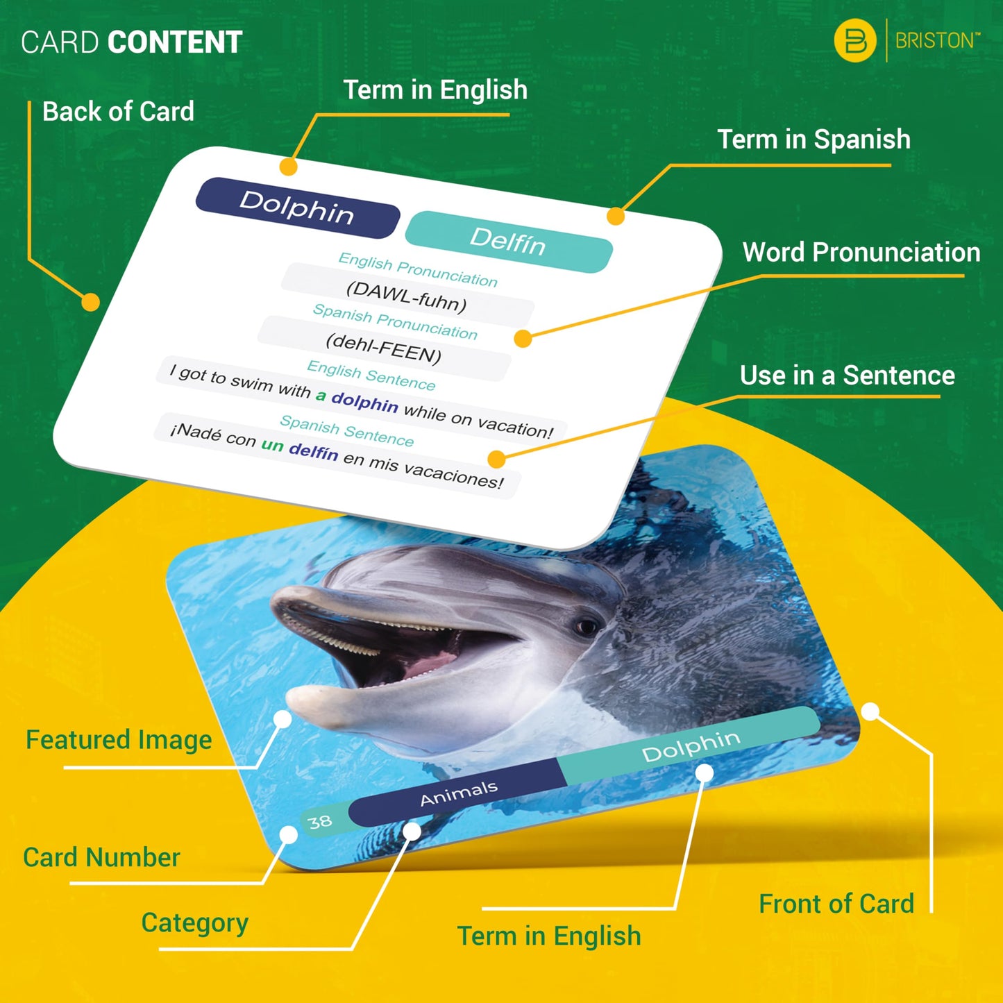 Briston Spanish Vocabulary Flash Cards – 600 English to Spanish Flashcards with Example Sentences & Pronunciations – Language Learning Cards for Kids & Adults, Classroom, Homeschool Study Set