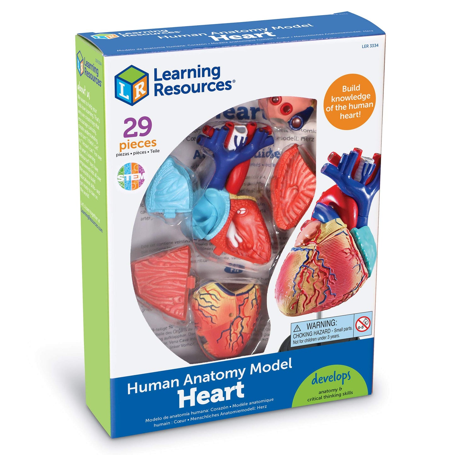 Learning Resources Human Heart Model, Anatomy and Science Classroom Must Haves, Body Model, STEM Study Tools, Back to School Kits, Homeschool Gifts for Students