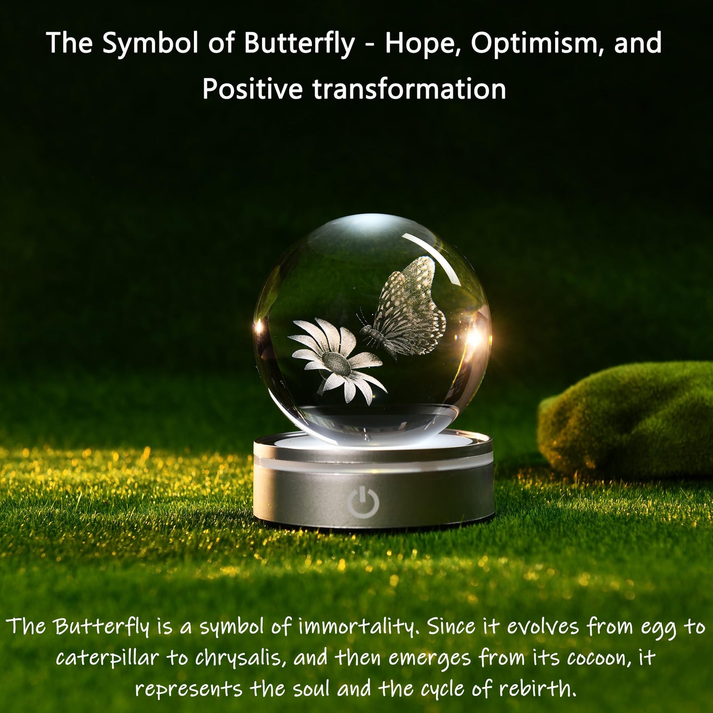 IFOLAINA 3D Butterfly Crystal Ball Decor Lamp Gifts Ideas for Girlfriend Wife Mom Her Mothers Day Birthday Christmas Butterfly on Sunflower in Glass Ball
