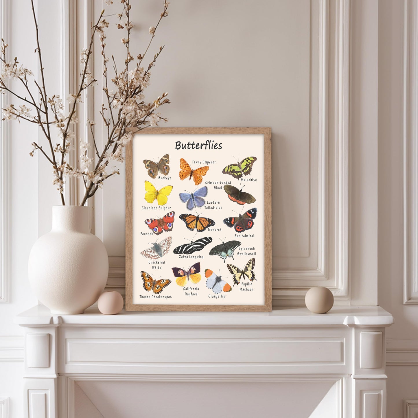 Poster Master Butterfly Print - Animal Poster - Learning Materials Art - Educational Wall Design - Gift for Students & Teacher - Decor for Classroom, Library or Nursery - 11x14 Beige Framed