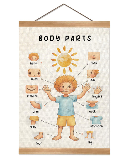 ZTGDA Body Parts Wall Art Poster, Body Cognitive Nursery Wall Art, Kindergarten Teaching Supplies,Cute Playroom Decor,Kids Room Decor Poster 12x16inch(Boys)