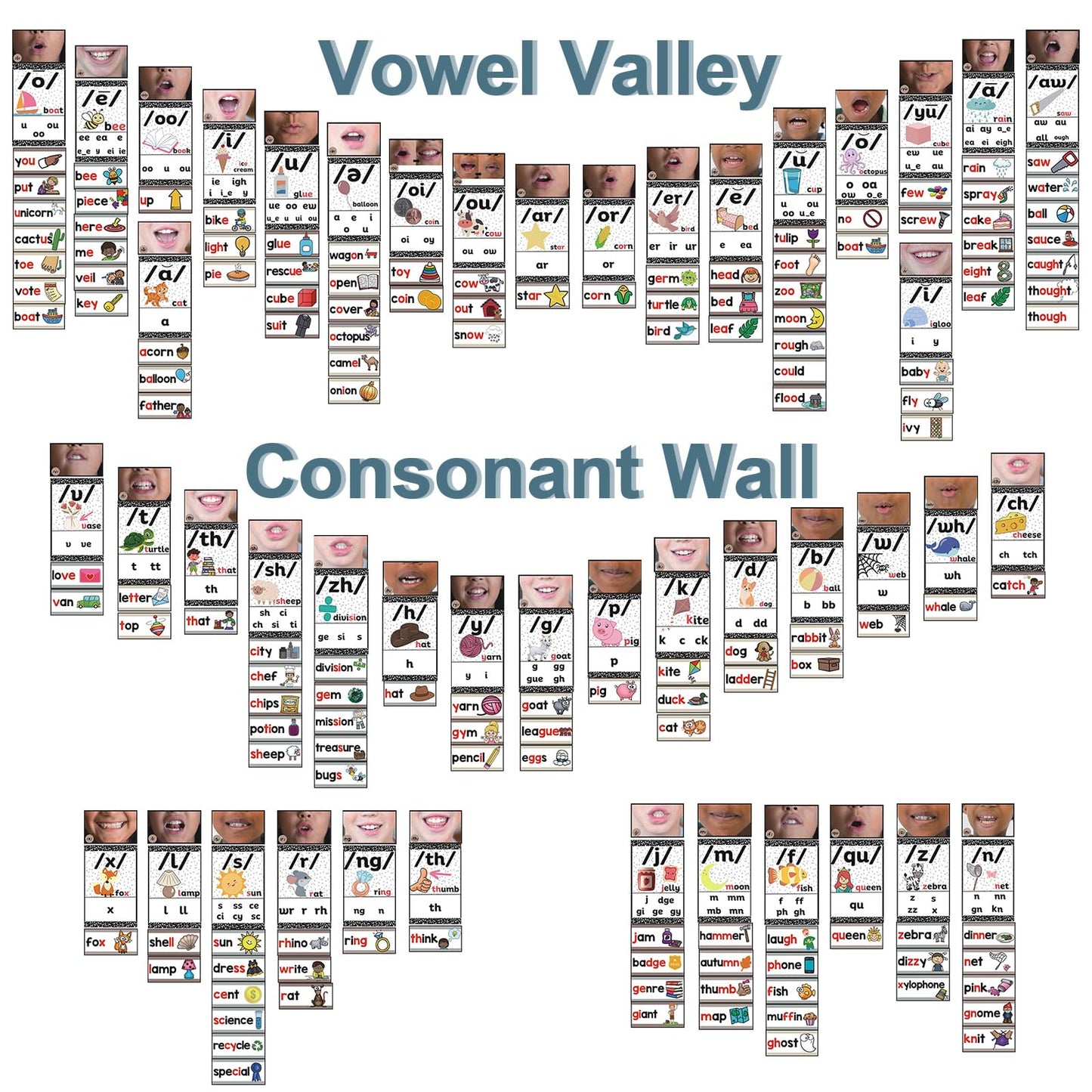 Gersoniel 220 Pcs Sound Wall Classroom Neutral Phonics Kits Science of Reading Posters for Classroom Consonant and Vowel Valley Decor Speech Material,Phonemic Awareness,Esl Teaching Material(Cute)