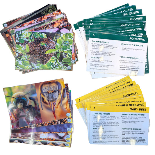 Educational Beekeeping Cards – 12x18 Oversized Beekeeping Flashcards for Teaching Bees and Beekeeping - Classroom and Workshop Learning Tool (Complete Set - Laminated)