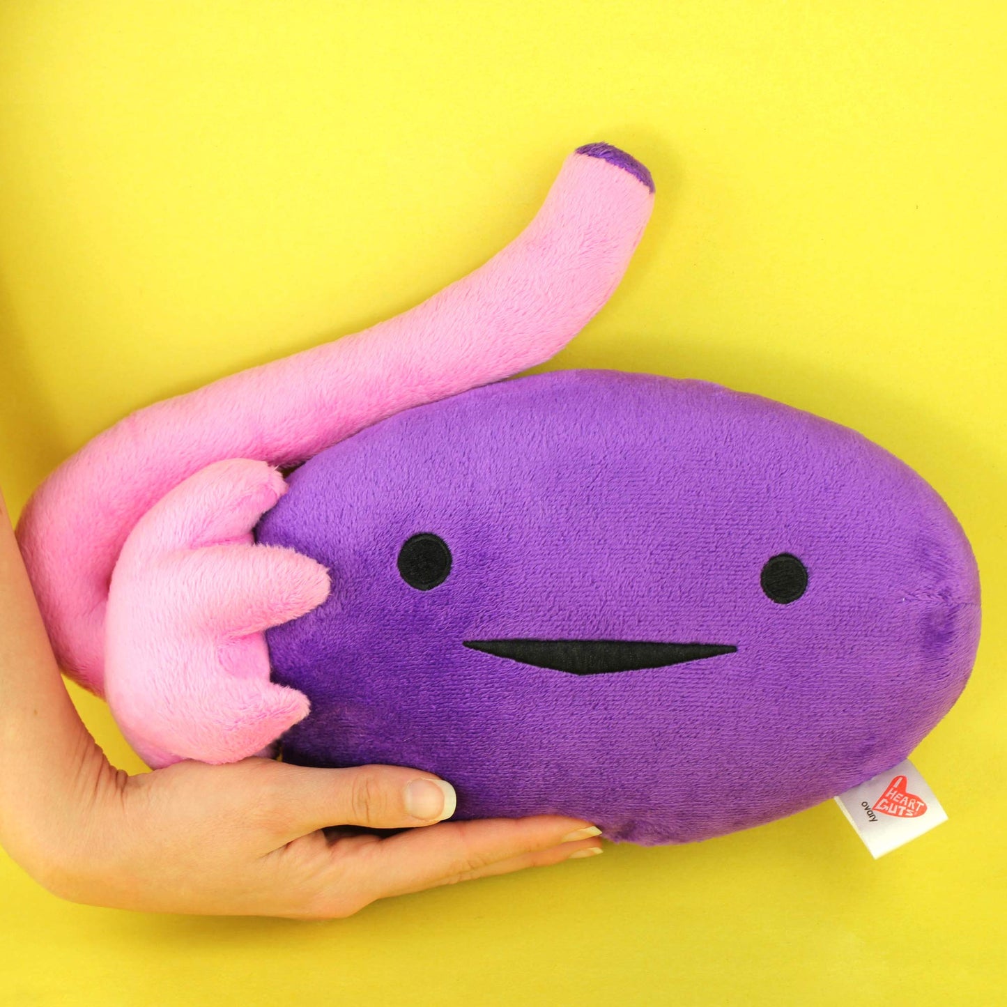 I Heart Guts - The Whole She-Bang Anatomy Bundle - Uterus Ovary Clitoris Vajayjay Placenta Female Anatomy OBGYN Medical Student Menstrual Education