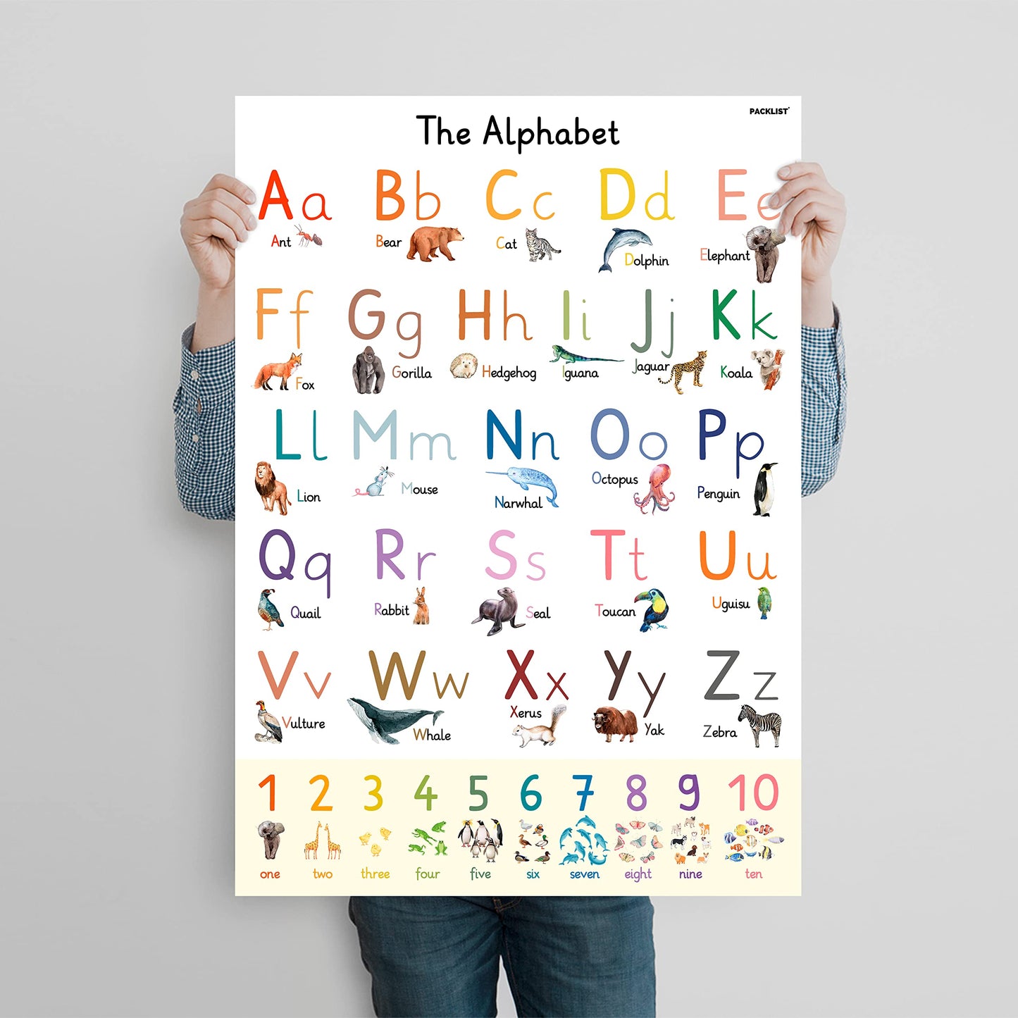 PACKLIST XL Alphabet Poster for Kids – Large 24" x 33" ABC Wall Chart – Extra-Thick 170 GSM Heavyweight Paper – Animal Learning Poster for Toddlers, Preschool & Classroom Decor – Plastic-Free