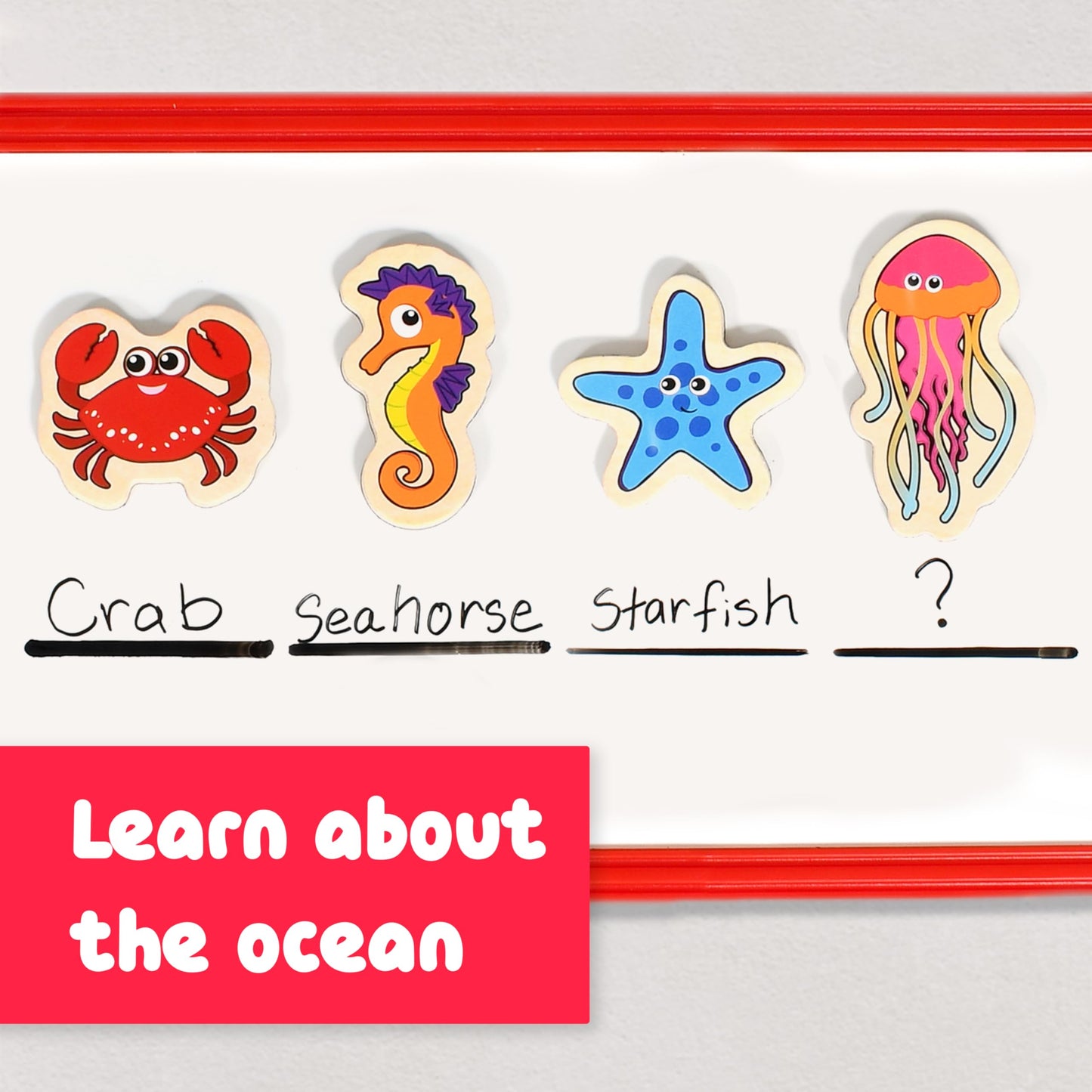 Spark & Wow Wooden Magnets | Sea Life | Magnets for Kids Ages 2+ Open-Ended Play | Adhere to Fridges, Whiteboards and More