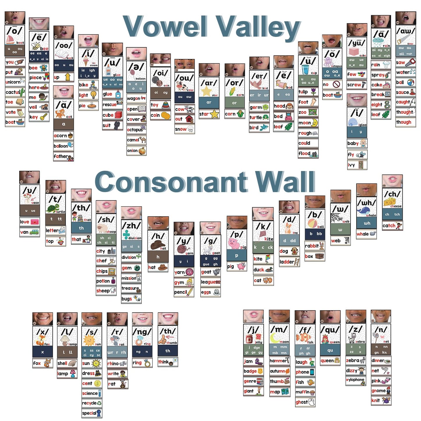 Gersoniel 220 Pcs Sound Wall Classroom Neutral Phonics Kits Science of Reading Posters for Classroom Consonant and Vowel Valley Decor Speech Material,Phonemic Awareness,Esl Teaching Material(Fresh)