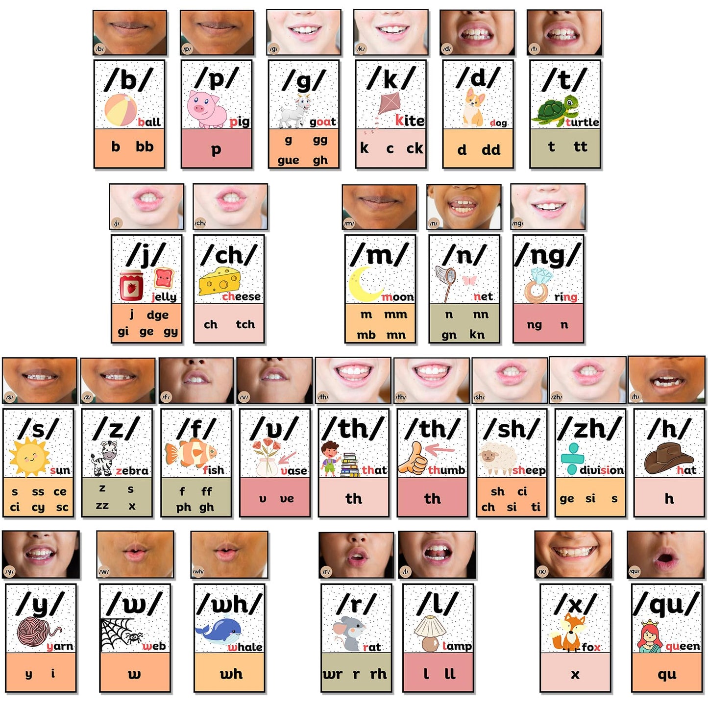 Ireer Pastel Consonants Sound Wall for Classroom Neutral Phonics Kit, Science of Reading Posters for Classroom Decor, Kindergarten Speech Materials, Phonemic Awareness, Esl Teaching Material