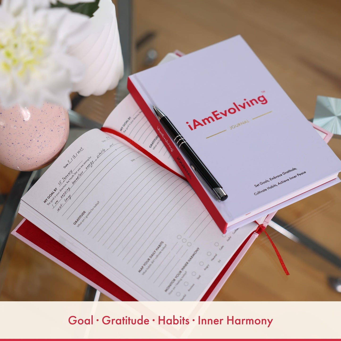 Daily Gratitude, Goal Setting & Habit Tracker Journal for Women & Men with 9-Point Emotional Wellness Scale — iAmEvolving™ 288-Page Hardcover Personal Growth Planner (Black Cover)