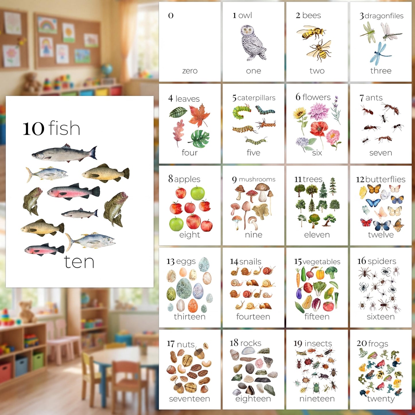 Colarr 21 Pcs Number Posters for Classroom Wall Decor 11 x 8.5 Inch Educational Number Poster Learning Chart for Kindergarten Preschool Teacher Classroom Must Have Essentials(Biology)