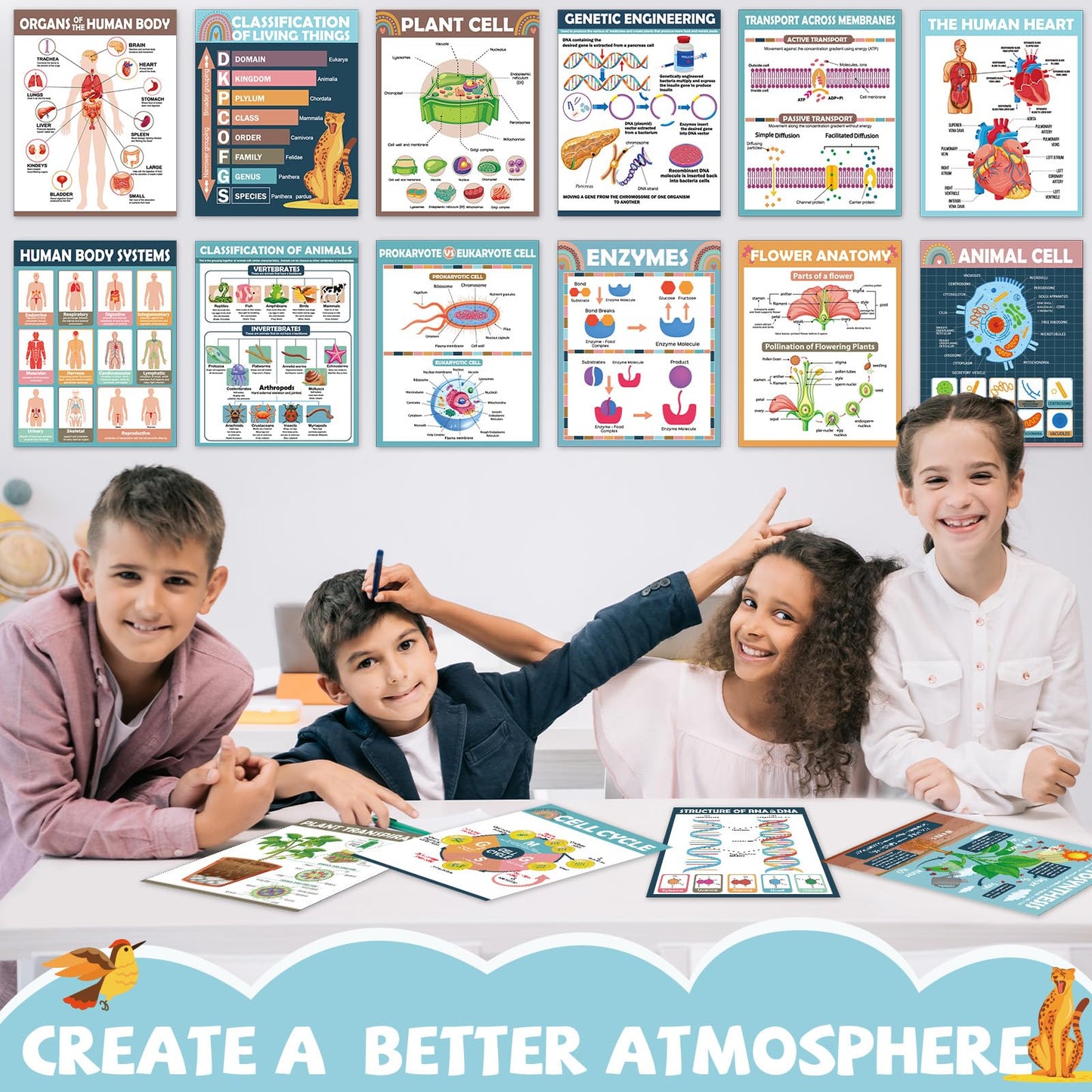 16Pcs Boho Science Posters for Classroom Middle School Supplies Biology Poster Classroom Decoration Life Science Posters Charts for Teachers High School Education Bulletin Wall Decor